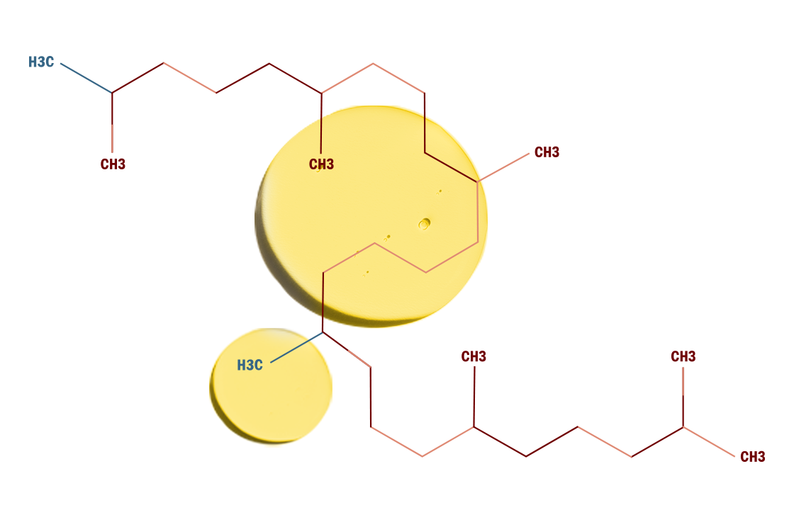 Squalane molecule and texture pattern